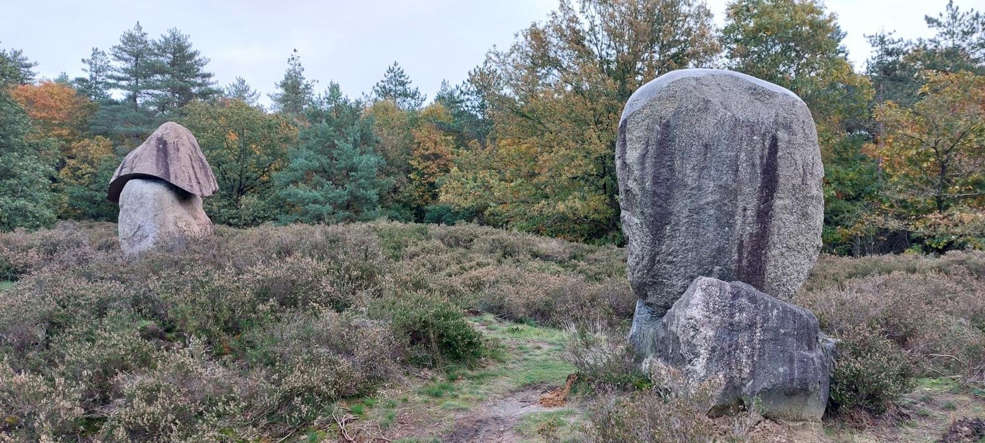 Mooi Drenthe Villa Wezuperbrug Luaran gambar