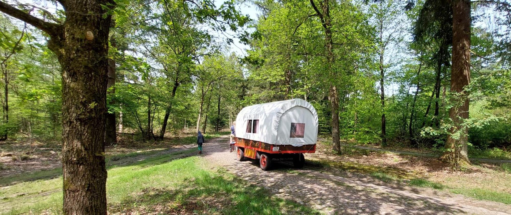 Mooi Drenthe Villa Wezuperbrug Luaran gambar